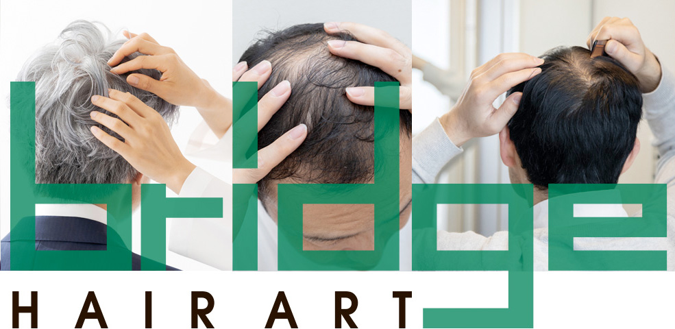 ヘアーアートブリッジ